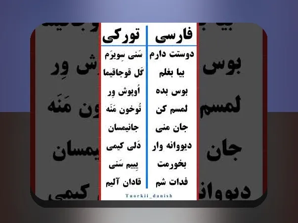 راهنمای کامل درباره اسم همسر در گوشی ترکیه ای و اهمیت آن در سایت شرط بندی